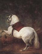 Diego Velazquez, A White Horse (df01)